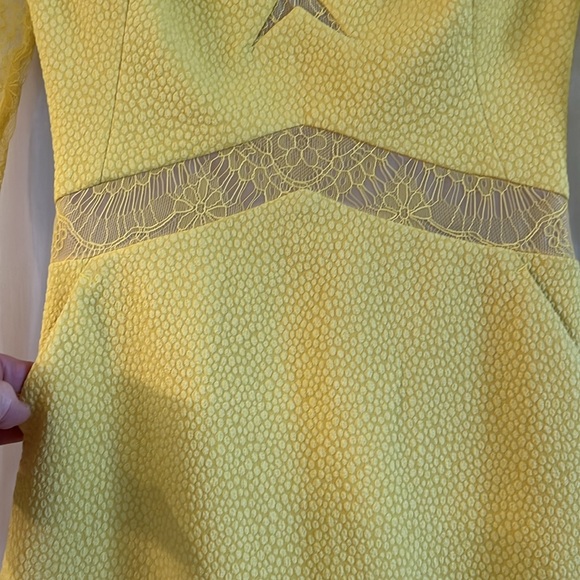 EUC yellow lace bodice fit and flare shorter dress from Three Floor. - Picture 7 of 16